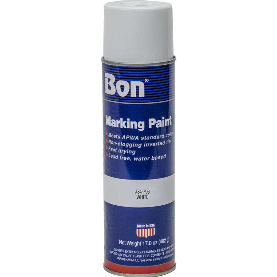 MARKING PAINT - WHITE - 20 OZ (12/PKG)